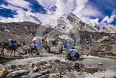 Pakistan Karakoram K2 trekking Editorial Stock Photo